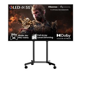 TV QLED 55 PRO