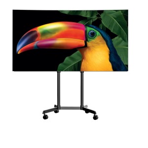TV OLED 55′