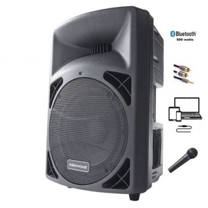 Enceinte ED 500