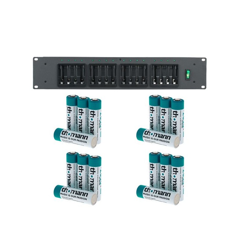Chargeur + 16 piles