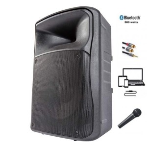 ENCEINTE ED POWER 500 WATTS