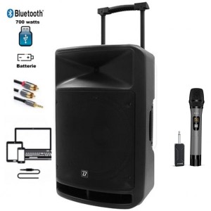 ENCEINTE TRAVEL 800