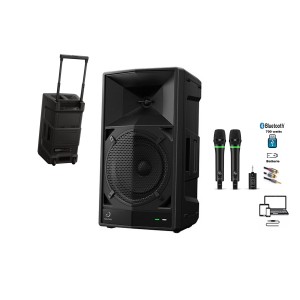 ENCEINTE PIONNER ALPHATHETA