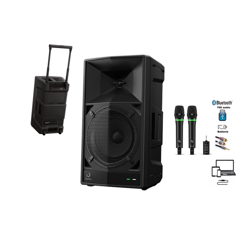 ENCEINTE PIONNER ALPHATHETA