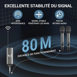 MICROS SANS FIL DUO